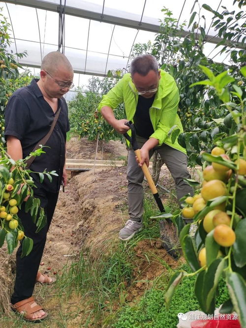 守护舌尖上的安全 市食用林产品质量安全检测工作组赴蒲开展草种植专项检测工作